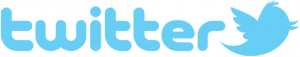 NFT Twitter logo